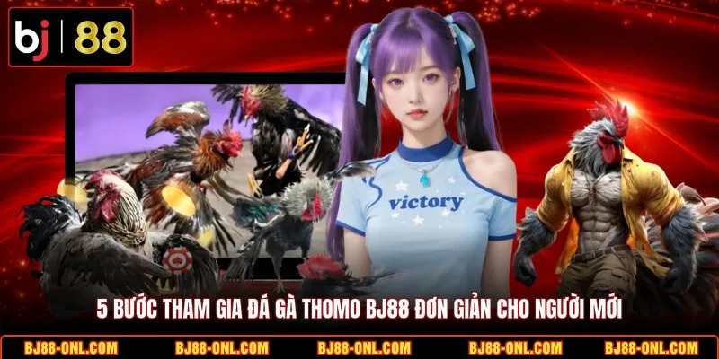 5 bước tham gia đá gà Thomo BJ88 đơn giản cho người mới