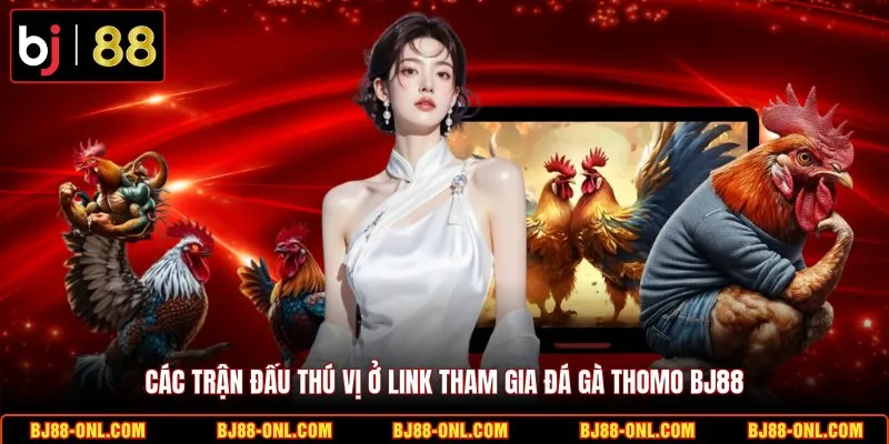 Các trận đấu thú vị ở link tham gia đá gà Thomo BJ88