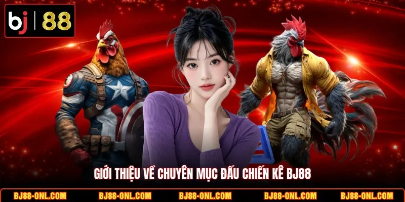 Giới thiệu về chuyên mục đấu chiến kê BJ88