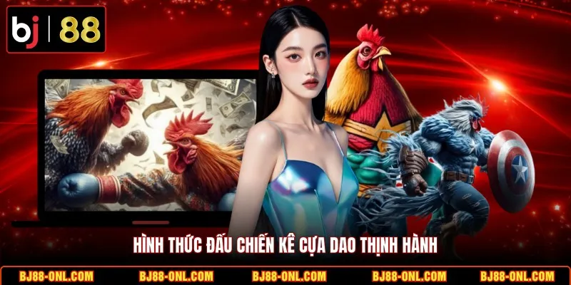Hình thức đấu chiến kê cựa dao thịnh hành