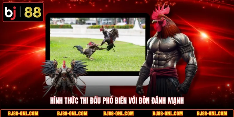 Hình thức thi đấu phổ biến với đòn đánh mạnh