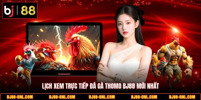 Lịch xem trực tiếp đá gà Thomo BJ88 mới nhất
