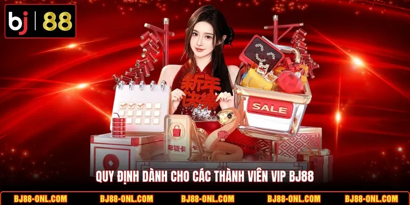 Quy định dành cho các thành viên VIP BJ88