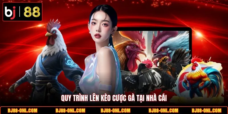 Quy trình lên kèo cược gà tại nhà cái
