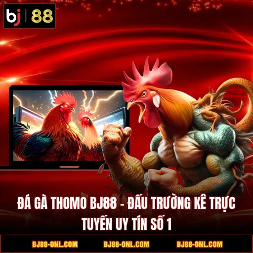 Đá gà Thomo BJ88
